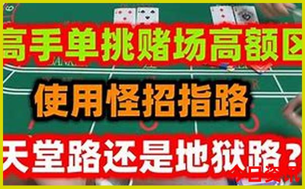 黄道吉日开过什么生肖
