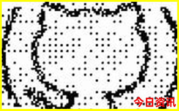 海陵岛攻略自助游攻略